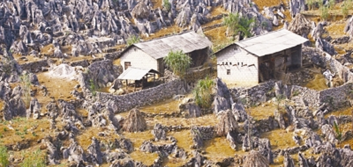 Di tích khảo cổ