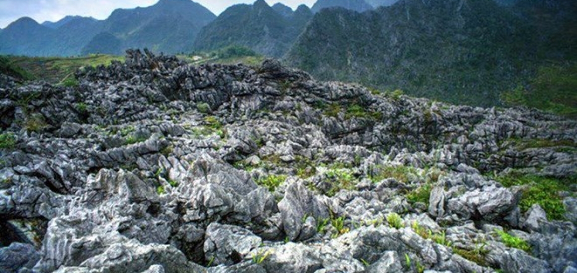 Di tích khảo cổ