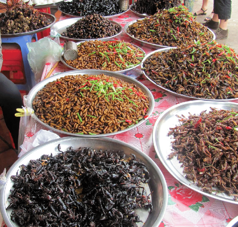 Chợ côn trùng (Skuon Market)