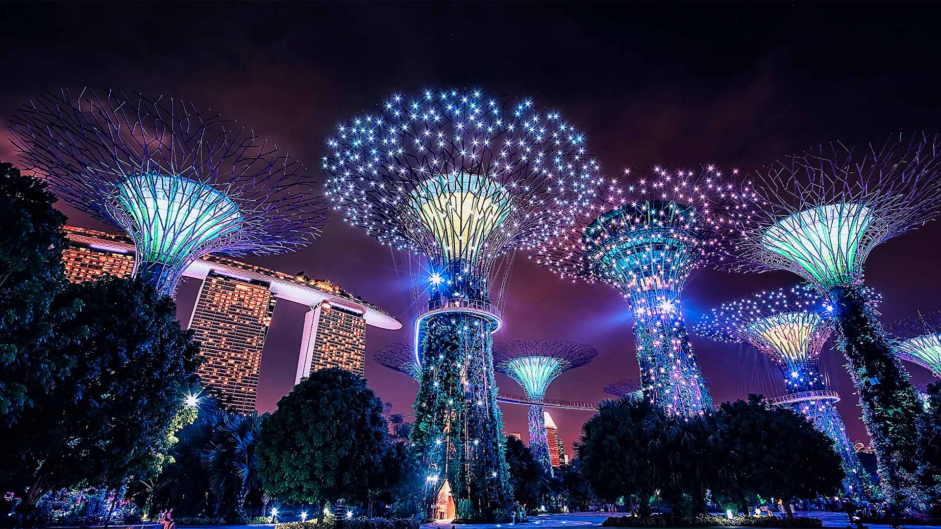 Gardens by the Bay